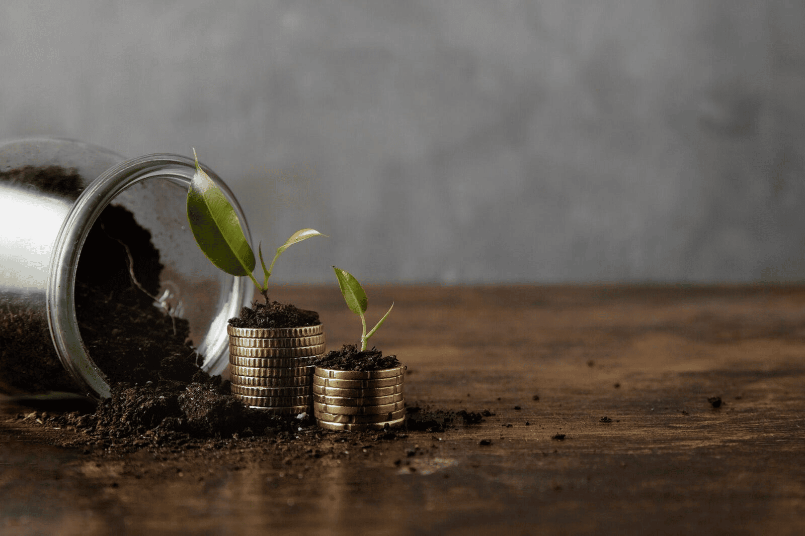 Mutual Fund